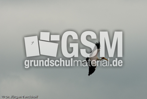 Nimmersatt (12 von 22).jpg